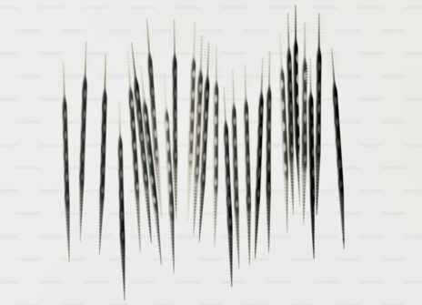 Cosmetic Foundations: Why Health Must Come Before Beauty in Modern Dentistry